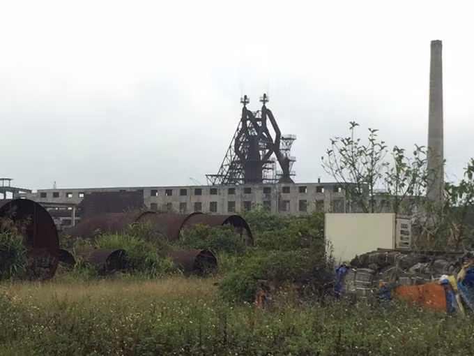 Cây cối, cỏ dại mọc ùm tùm trong khuôn viên nhà máy.