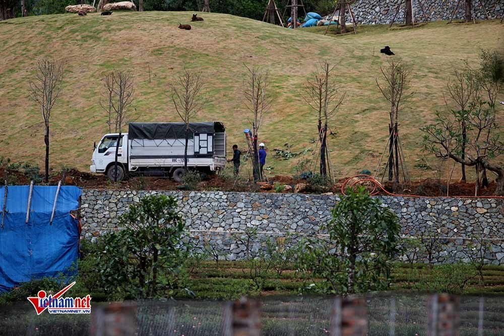 Hinh anh biet thu nguy nga moc tren dat rung phong ho Soc Son-Hinh-4