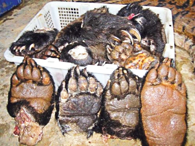 Thuc khach choang nang mon thit ho trong thuc don nha hang-Hinh-2