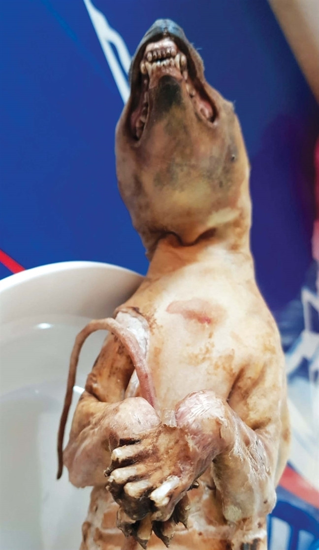 Thuc khach choang nang mon thit ho trong thuc don nha hang