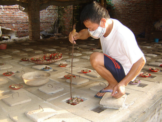 Cho rắn ăn, một trong những công việc kèm theo những nguy hiểm. Ảnh: Đơn Thương.