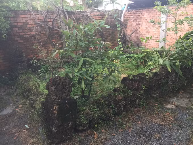 Hoang lanh mo co 200 nam cua cong than trieu Nguyen-Hinh-3