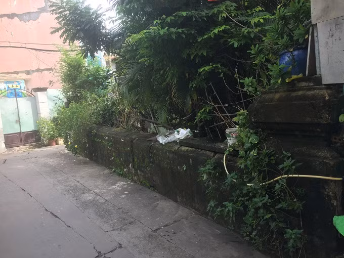 Hoang lanh mo co 200 nam cua cong than trieu Nguyen-Hinh-4