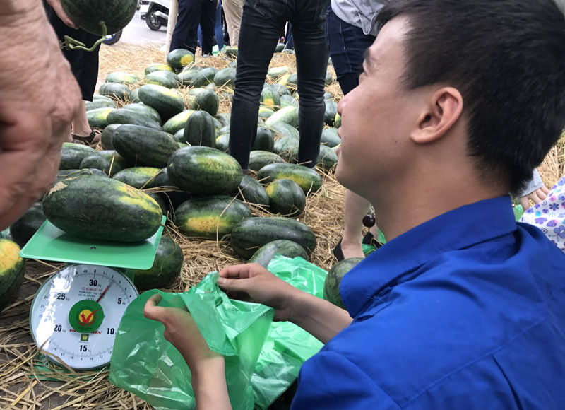 Người mua đông, các bạn sinh viên tình nguyên phải luôn chân luôn tay mới có thể kịp cân bán dưa.