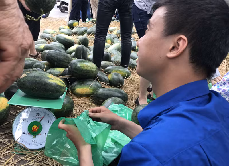 Người mua đông, các bạn sinh viên tình nguyên phải luôn chân luôn tay mới có thể kịp cân bán dưa.