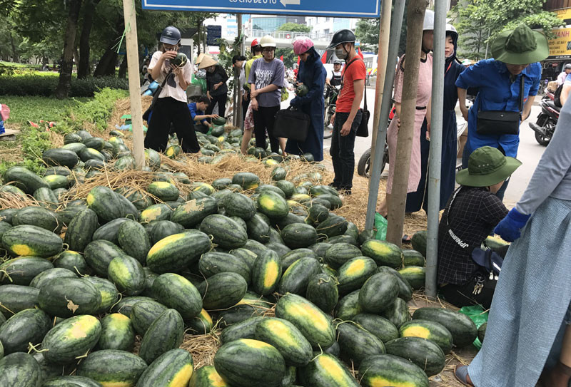 Nhờ sự ủng hộ nhiệt tình của người dân Thủ đô mà chỉ trong 3 ngày, gần 100 tấn dưa hấu đã được bán hết.