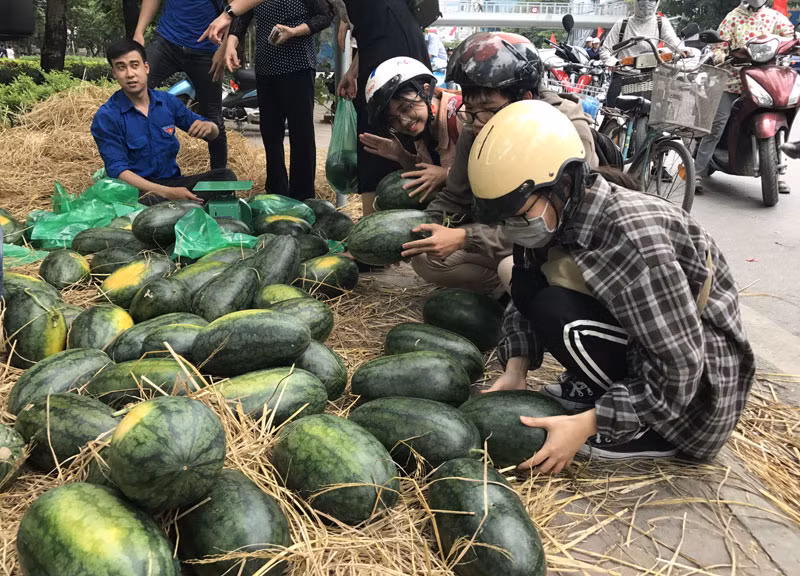 Người dân đi đường đều tranh thủ nghé vào mua dưa hấu.