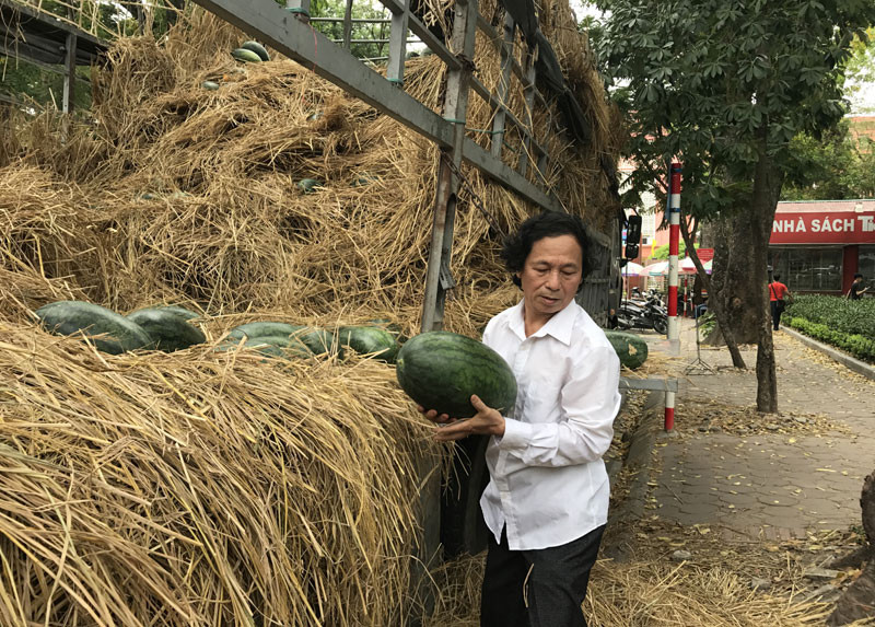 Dưa hấu được chất đầy trên xe ô tô tải cỡ lớn...