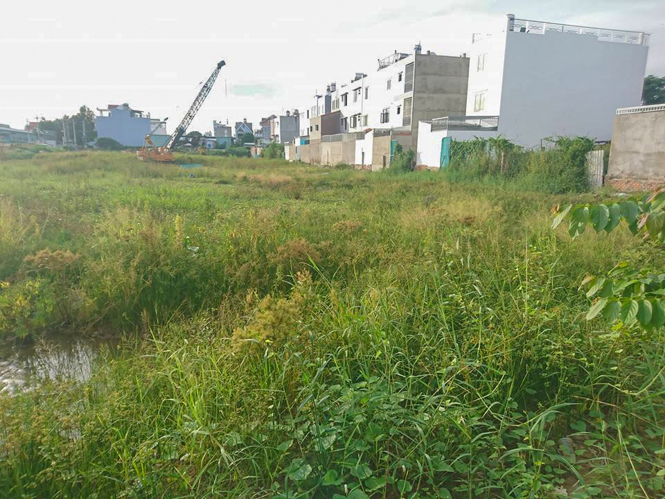 Cong ty Dat Gia rao ban du an Green Mark chua co giay phep-Hinh-2