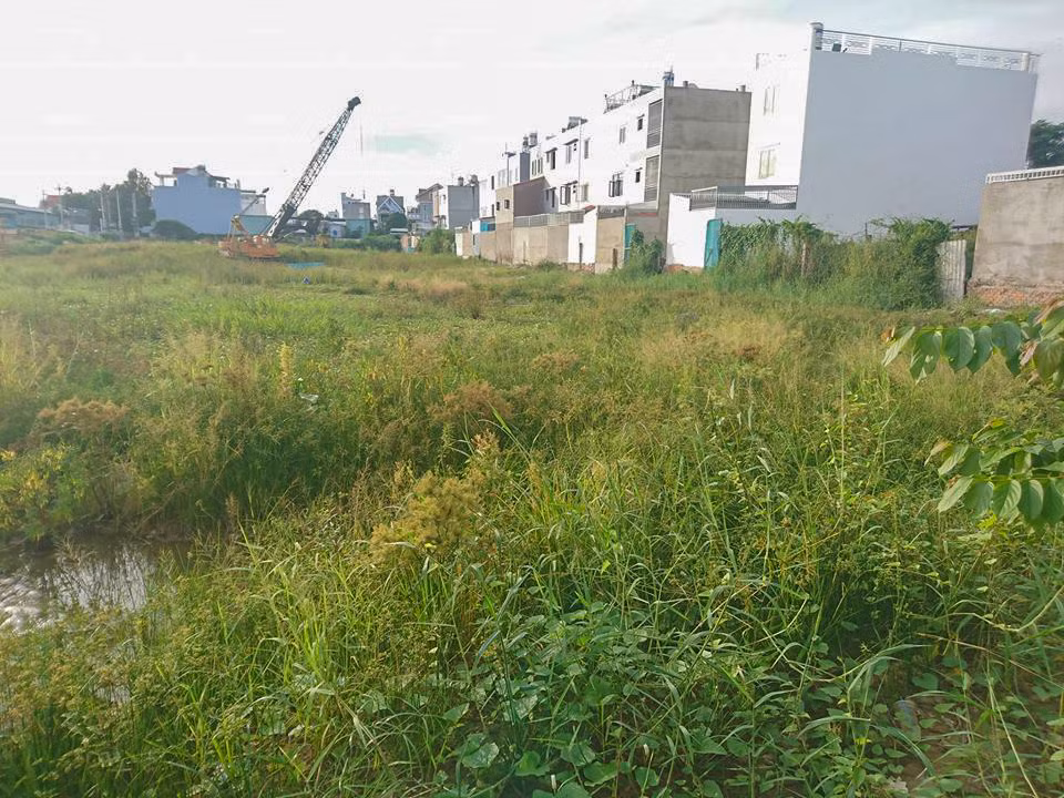 Cong ty Dat Gia rao ban du an Green Mark chua co giay phep-Hinh-2