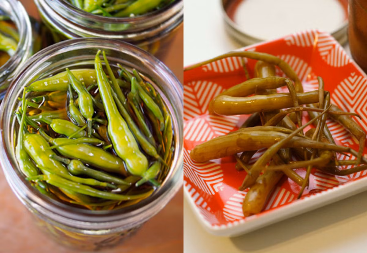 Bạn có thể chế biến củ cải hình đuôi chuột giống như những món chế biến đối với củ cải đỏ hay trắng thông thường như chiên, xào, hầm,... Đặc biệt, củ cải đuôi chuột ướp giòn giòn ngon ngon cũng là một trong những cách thức chế biến của loại củ cải này.