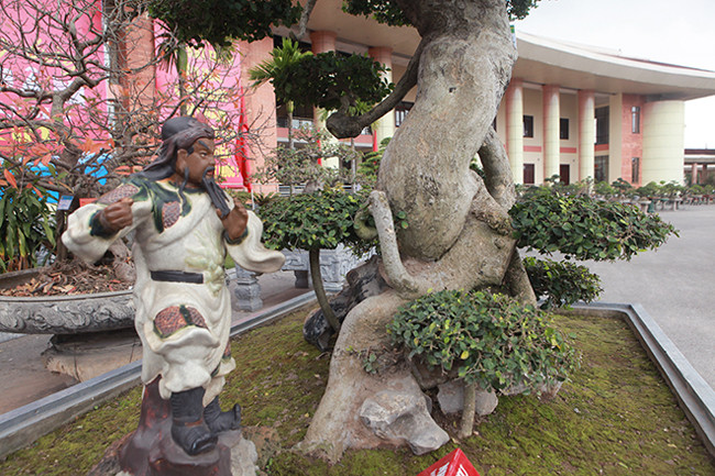 Bông tán phía dưới bố trí hợp lý. 