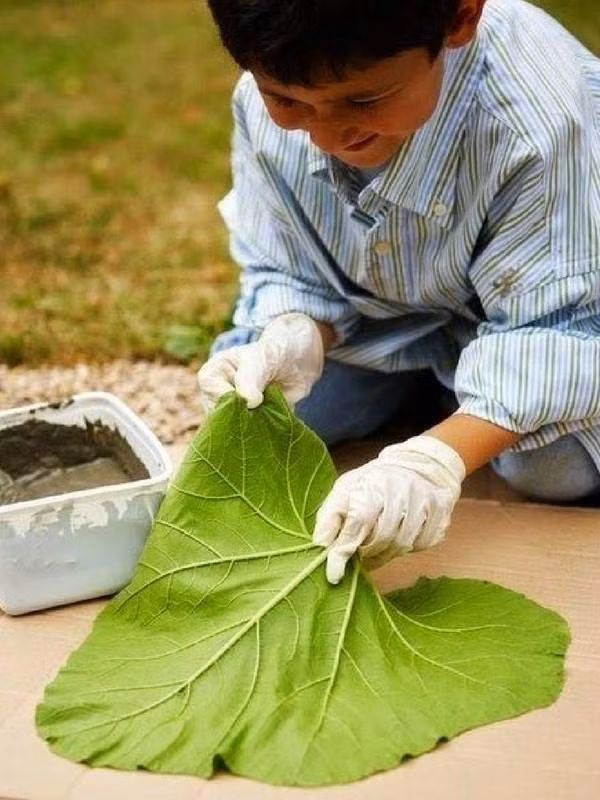 Sau đó, cậu bé trải tấm lá xuống một mặt phẳng.