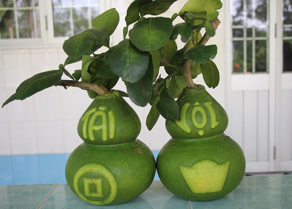 Qua buoi vuong ky la lan dau tien xuat hien o Viet Nam-Hinh-2