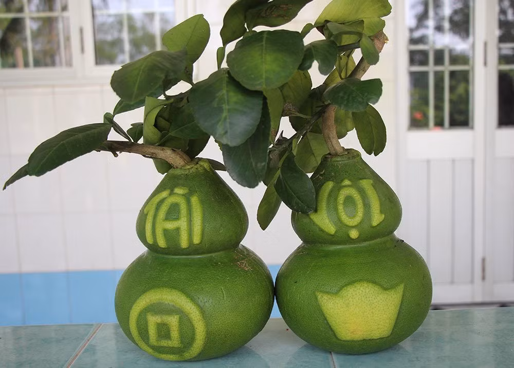 Qua buoi vuong ky la lan dau tien xuat hien o Viet Nam-Hinh-2