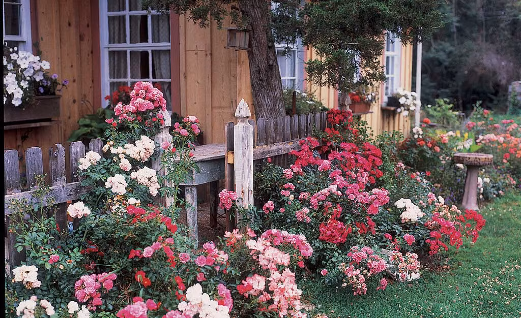 "Nha chong nghi chung cu dat tien cua chung toi la nha tro"