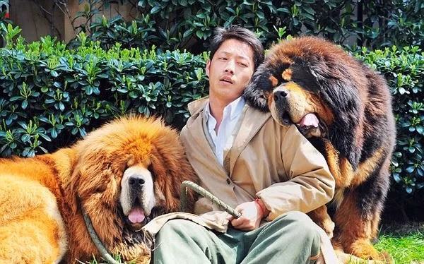 Cho ngao Tay Tang 30 ty thanh mon an trong noi lau: Dai gia khoc rong-Hinh-3