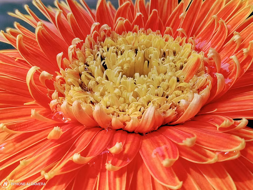 Bo anh dau tien chup tu BPhone 3 do Bkav cong bo-Hinh-18