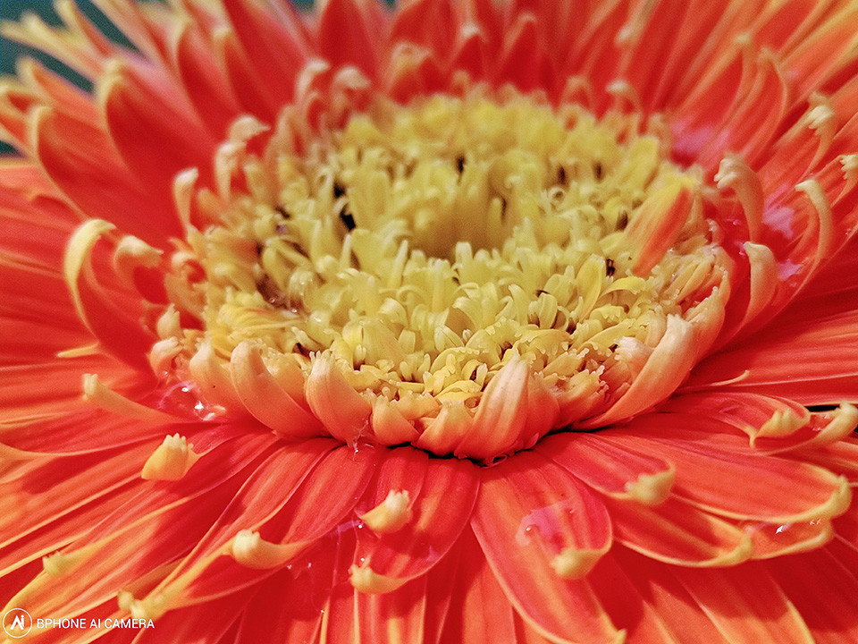 Bo anh dau tien chup tu BPhone 3 do Bkav cong bo-Hinh-17