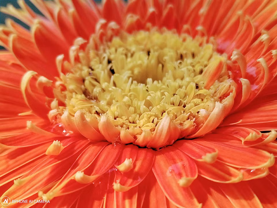 Bo anh dau tien chup tu BPhone 3 do Bkav cong bo-Hinh-17