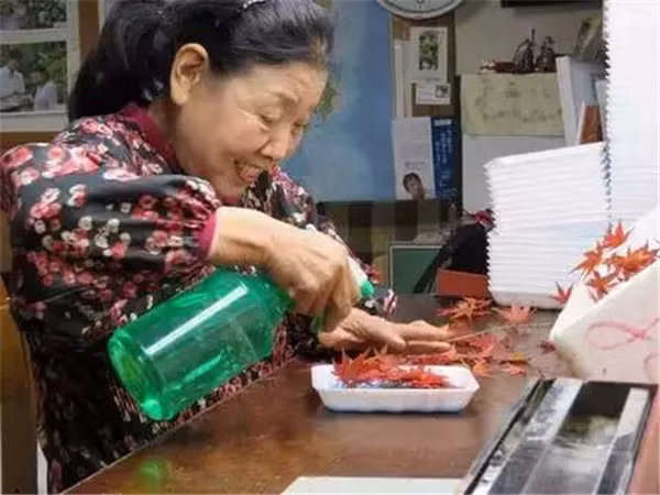 Cụ bà đang phân loại lá cây, đảm bảo đồng nhất về kích cỡ và màu sắc.