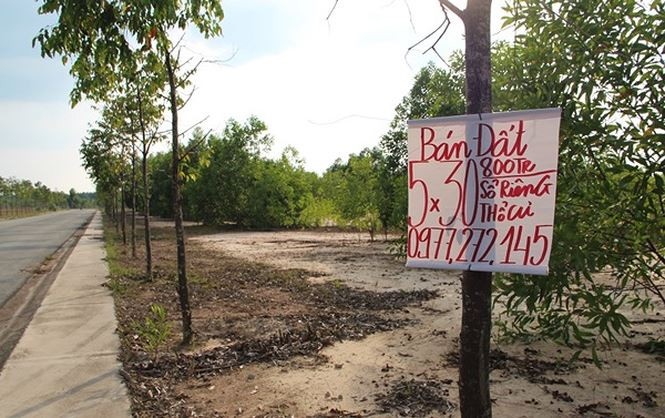 Mỹ Phước 4 được chia làm 5 khu, bao gồm biệt thự, nhà phố liên kết, căn hộ cao cấp, trung tâm thương mại và nhiều tiện ích khác như công viên cây xanh, trường học, bệnh viện… Nhưng sau gần 10 năm chỉ là bãi đất trống.