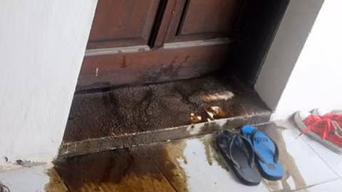 Chiêu dùng mắm tôm pha dầu luyn khủng bố con nợ được đánh giá là tai quái và kinh dị vô cùng.