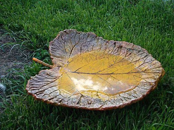 Những chiếc lá uốn cong có thể làm chậu trồng cây, hoặc đựng nước