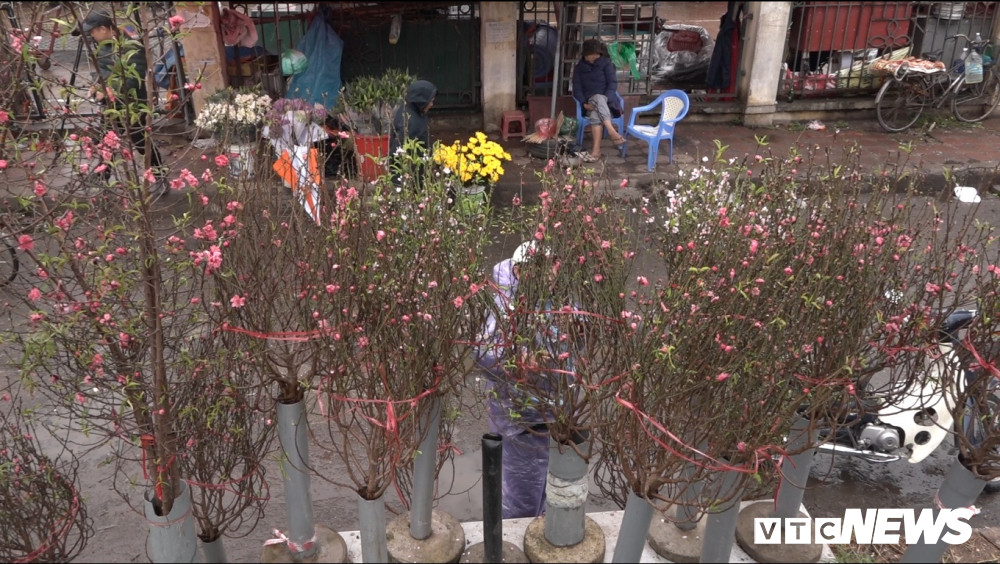 Tại đây mỗi cành đào có giá khác nhau, cành đào truyền thống thường có giá từ 50.000-100.000 đồng/cành, đào dáng thế có giá từ 200.000-300.000 thậm chí lên đến 1,2 triệu đồng.