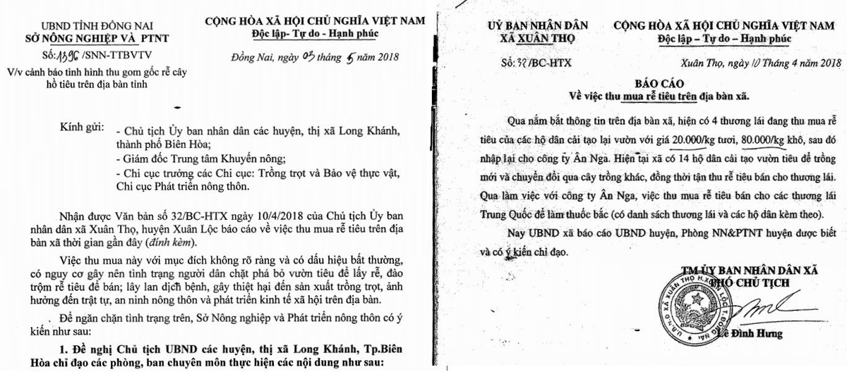 Đồng Nai cảnh báo các huyện thị và người dân về việc thương lái Trung Quốc thu mua rễ tiêu.