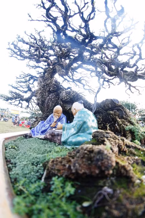 Ngam dan cay canh kich doc tien ty cua dai gia Binh Dinh-Hinh-11