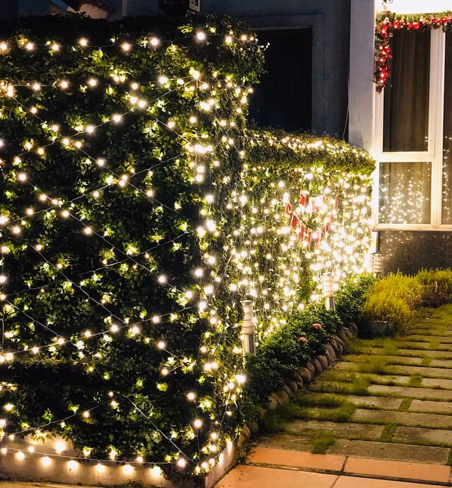 BTV Hoa Thanh Tùng không bao giờ chia sẻ cả căn biệt thự. Anh chỉ đăng những tấm ảnh chụp từng góc nhỏ nơi mình đang ở. Những góc này được vợ chồng anh chăm chút rất kỹ lưỡng.