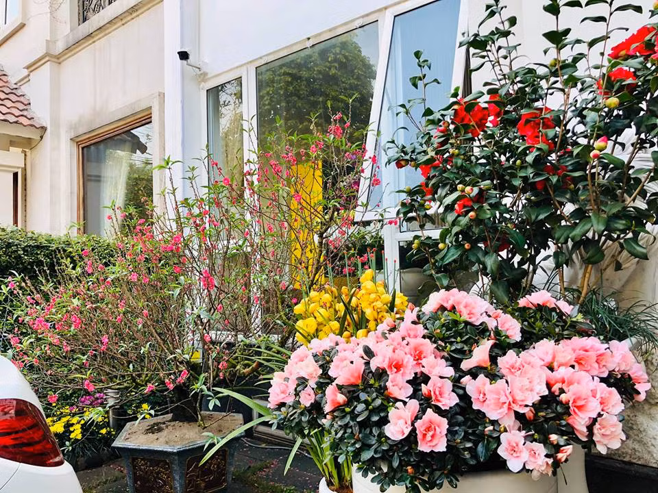 Những loài hoa đua nhau khoe sắc.