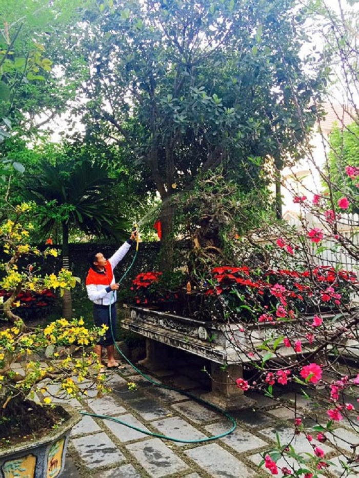 Trong khuôn viên khu biệt thự, BTV Hoa Thanh Tùng trồng rất nhiều cây. Anh thường tự tay chăm sóc chúng sau những giờ làm việc bận rộn tại VTV.