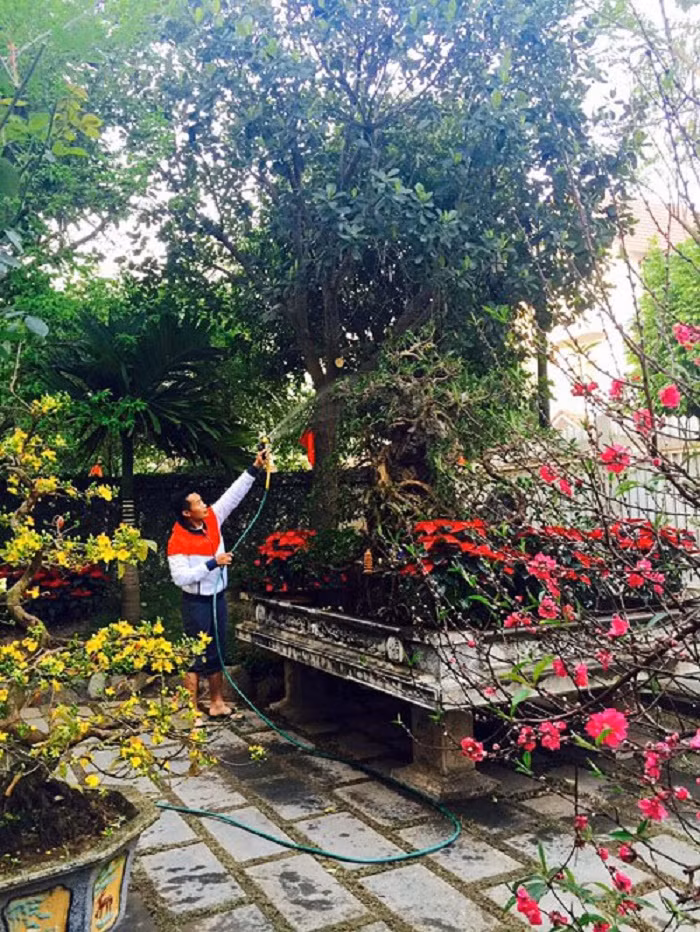 Trong khuôn viên khu biệt thự, BTV Hoa Thanh Tùng trồng rất nhiều cây. Anh thường tự tay chăm sóc chúng sau những giờ làm việc bận rộn tại VTV.