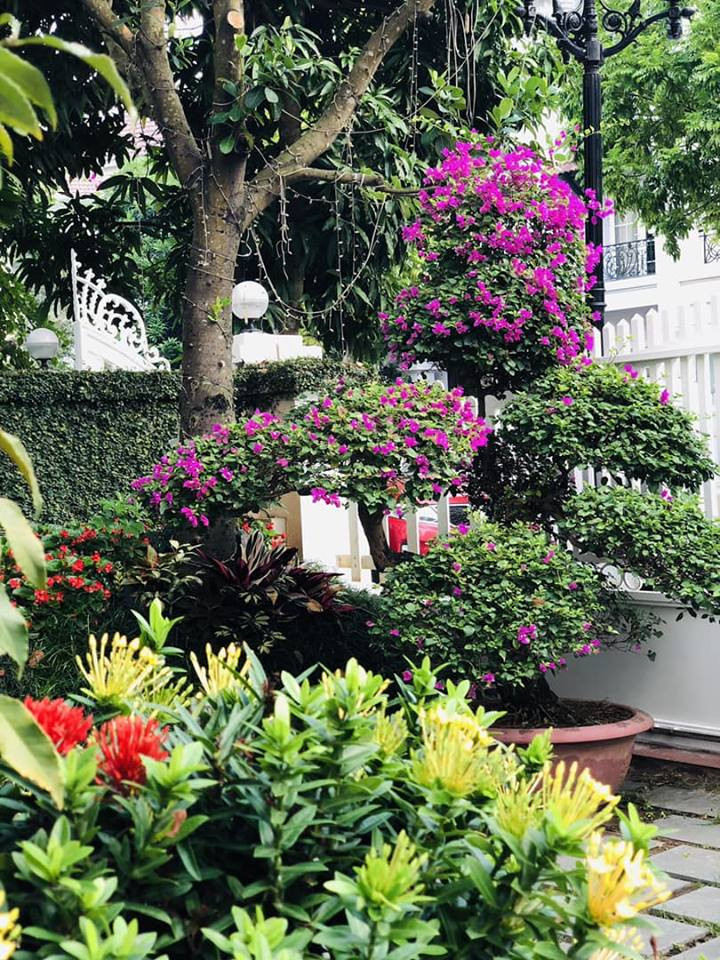 Một góc nhỏ trong căn biệt thự rộng rãi của BTV Hoa Thanh Tùng.