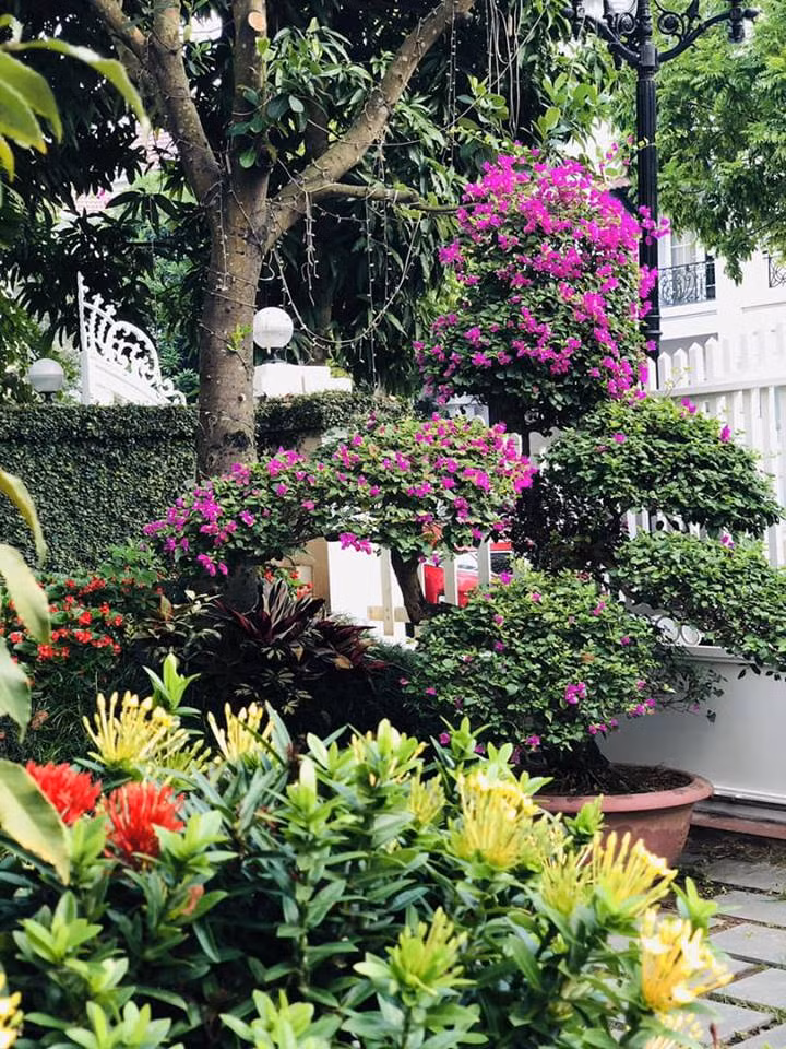 Một góc nhỏ trong căn biệt thự rộng rãi của BTV Hoa Thanh Tùng.