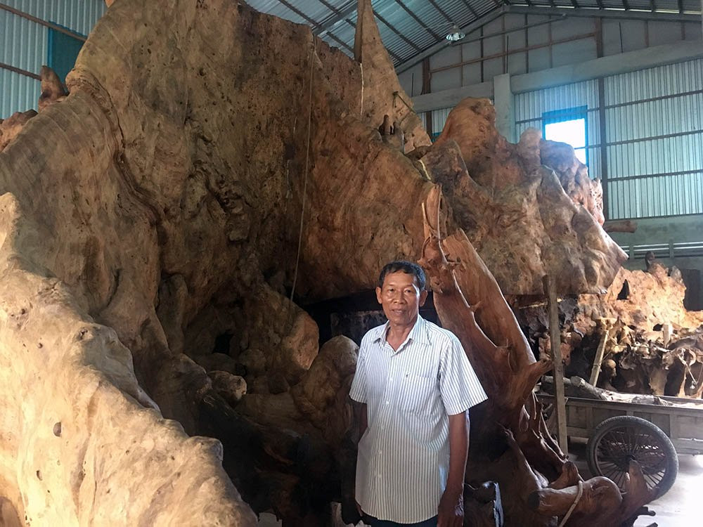 Ông Mai Kiên bên gốc cây bàng hàng trăm năm tuổi.