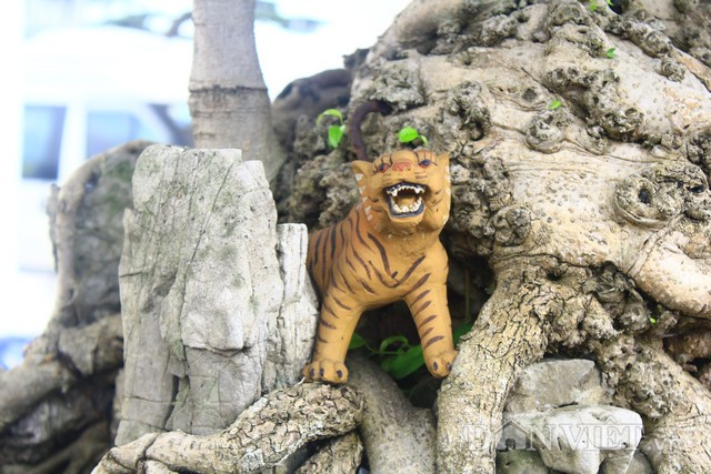 Bên dưới gốc sắp đặt thêm các tiểu cảnh và một con hổ tạo thêm sự cổ kính, kỳ bí cho cây.