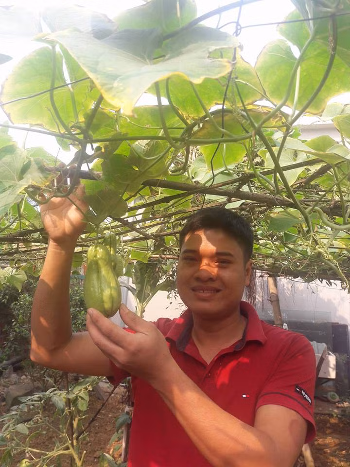 Anh Quang Huy - chủ nhân của khu vườn rau quả rộng 55m2 tại thành phố Đà Nẵng. Sau khi làm quen với việc trồng rau tại nhà, anh Huy tiếp tục thử sức trồng các loại củ quả như cà chua, dưa leo, bầu, bí...