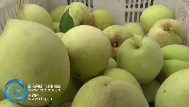 Một cuộc đấu giá đã diễn ra ngay sau đó với số tiền thu về đạt 40,8 triệu VND.