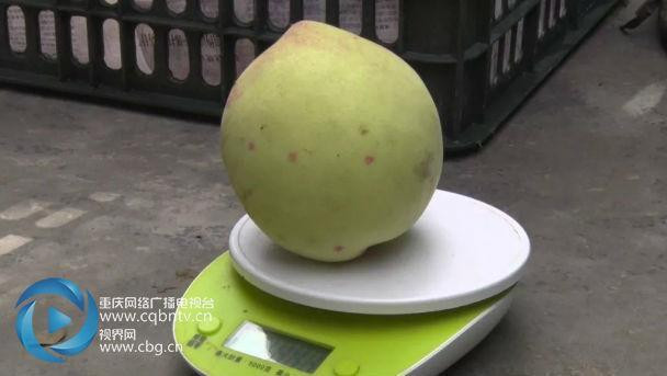 Quả đào nặng 465g của anh Vương Tiên Minh đã được bầu chọn làm “đào vua”.