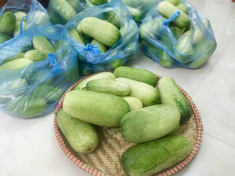 Bà nội trợ Hà thành thích thú với dưa chuột vùng Tây Bắc.