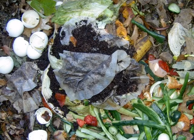 "Het hon" chieu trong rau sach doc di cua nong dan Viet-Hinh-9