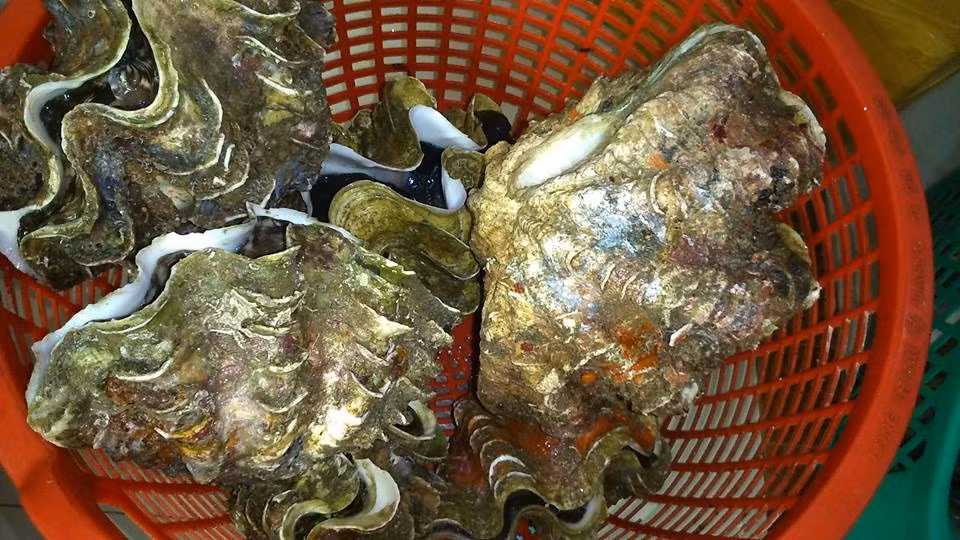 Dai gia Ha thanh an oc "vo dich" toan cau: 10kg, gia 4 trieu