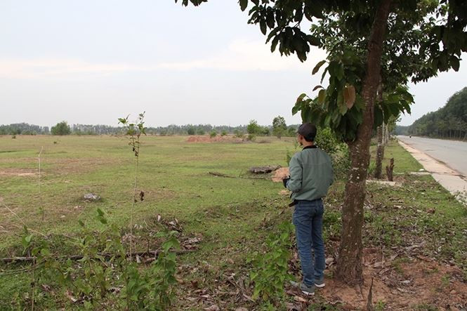 Vẫn là cỏ mọc um tùm.