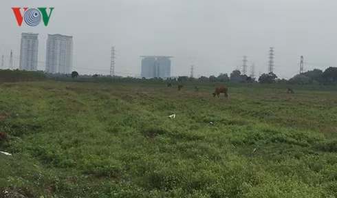 Dù sốt giá nhưng tại Bình Dương nhiều khu đất có vị trí đẹp vẫn bị bỏ hoang trong nhiều năm.