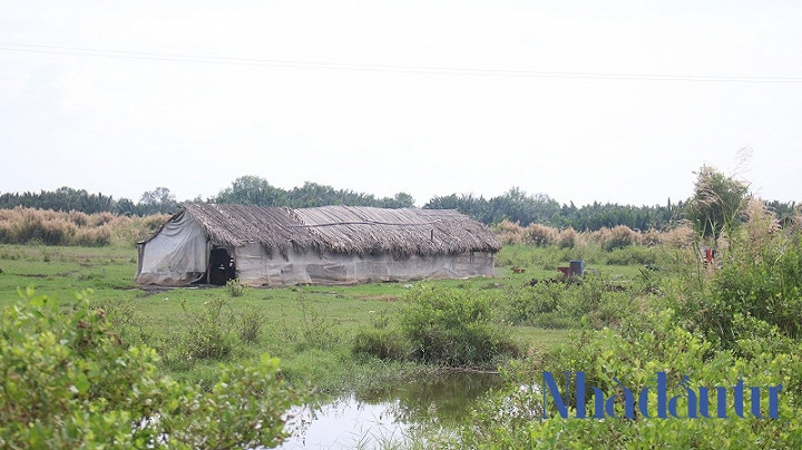Ben trong du an Phuoc Kien ong Tat Thanh Cang dong y ban cho QCGL-Hinh-6