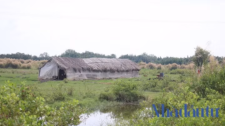 Ben trong du an Phuoc Kien ong Tat Thanh Cang dong y ban cho QCGL-Hinh-6