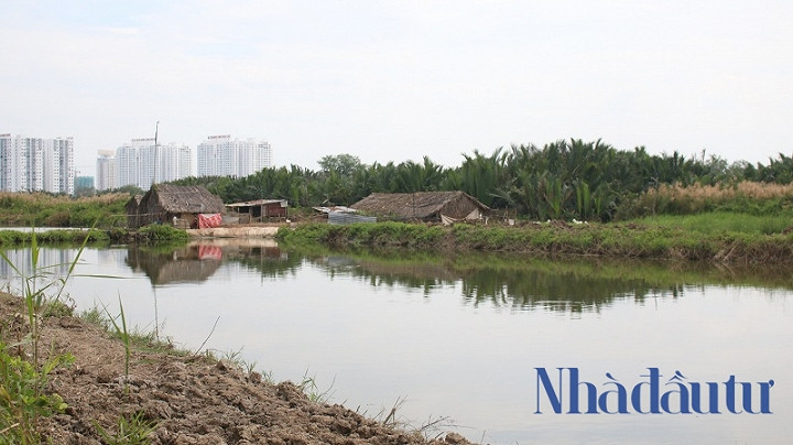 Ben trong du an Phuoc Kien ong Tat Thanh Cang dong y ban cho QCGL-Hinh-11